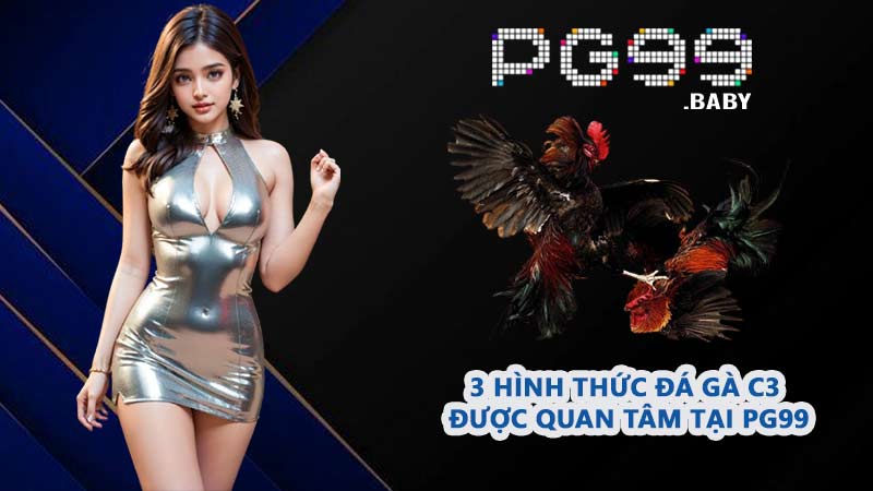 3 hình thức đá gà C3 được quan tâm tại PG99