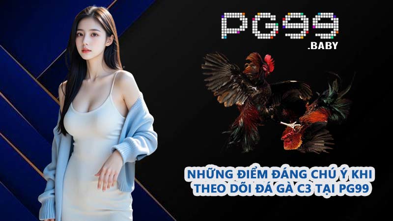 Những điểm đáng chú ý khi theo dõi Đá Gà C3 tại PG99